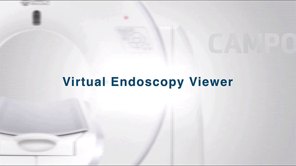 Virtual Endoscopy Viewer